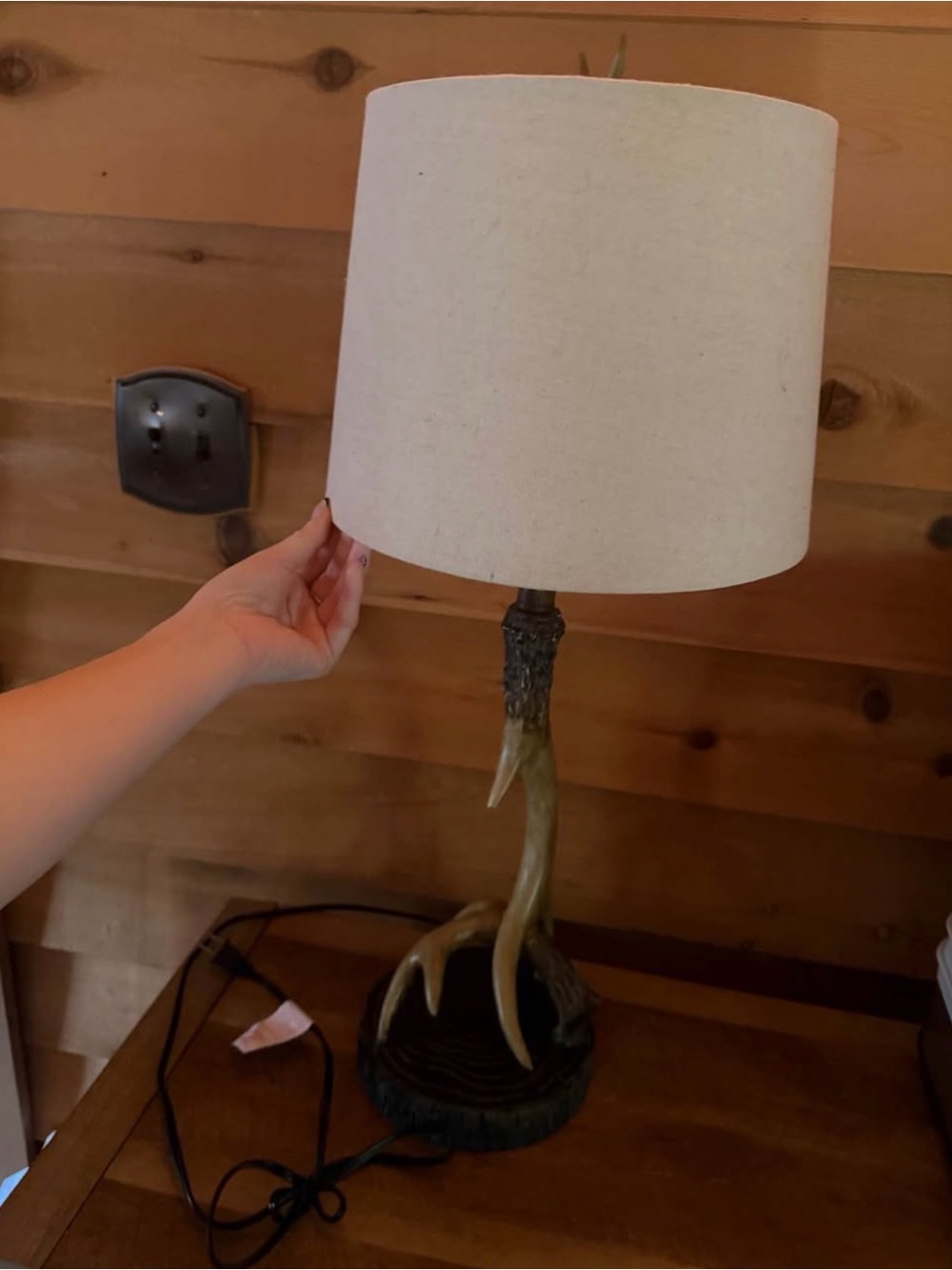 Antler Base Table Lamp with Cream Shade